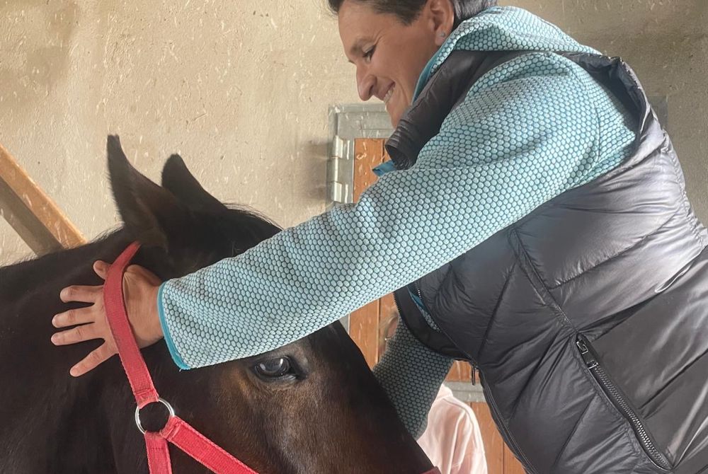 Manuelle Therapie am Pferdebein durch erfahrene Therapeutin