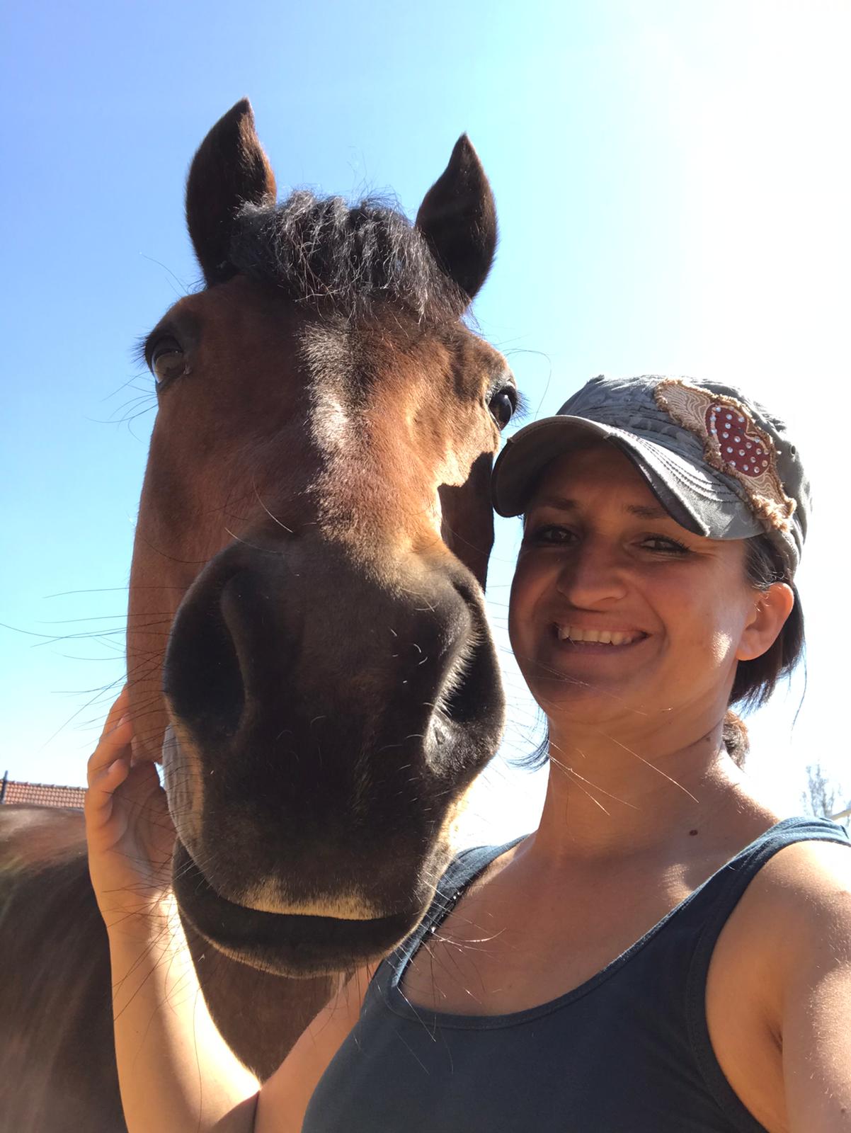 Pferdetherapie Manuela Pflüger