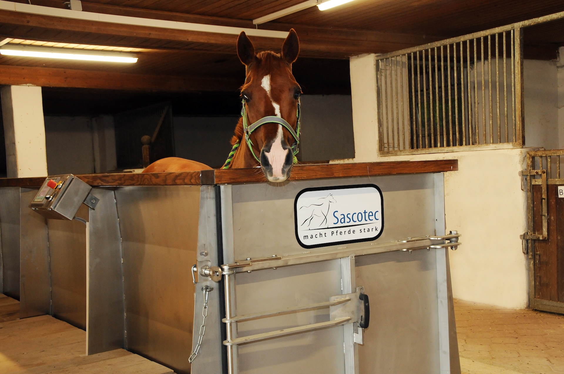 Aqua­trainer von Sascotec – Wasser­laufband für Pferde