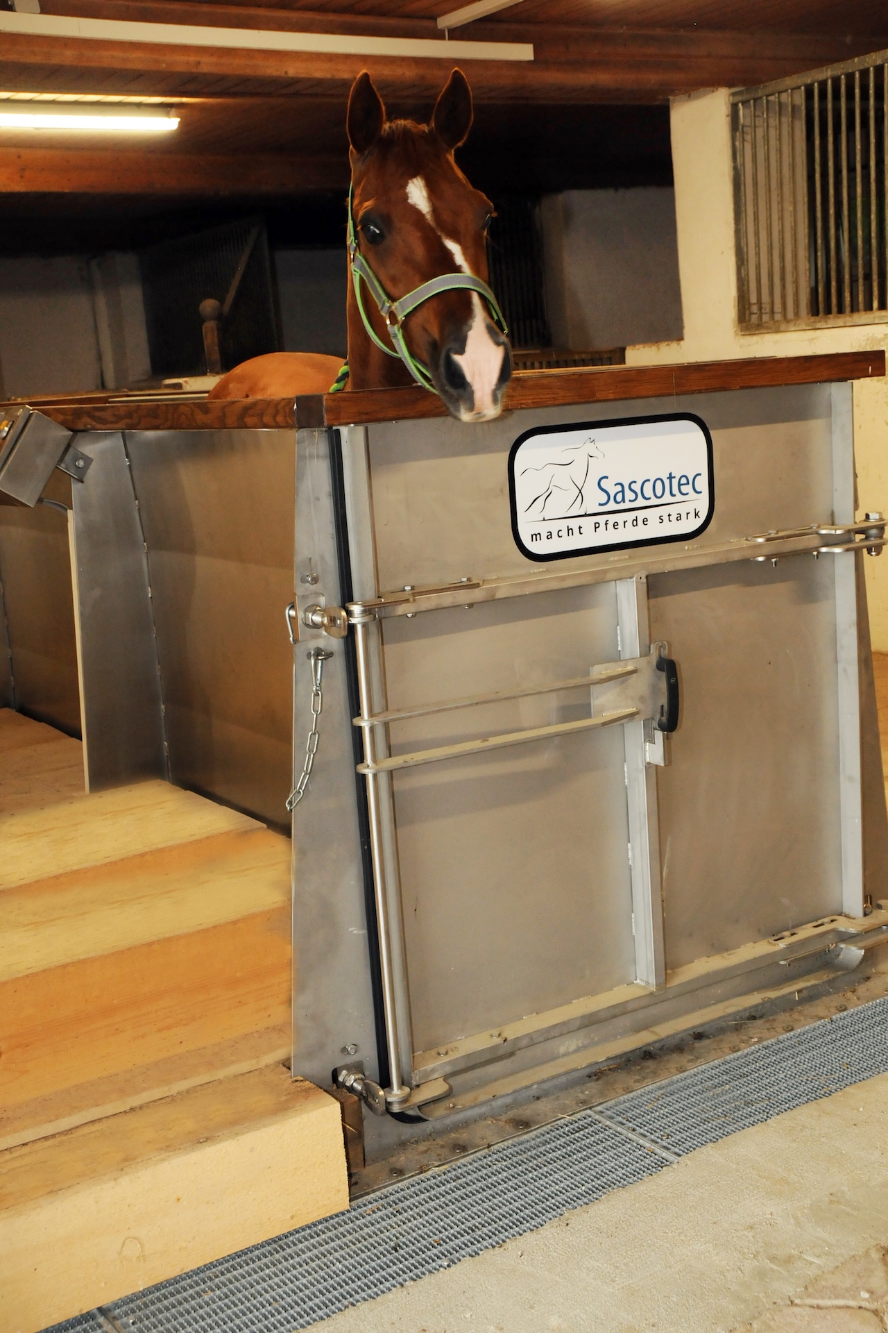 Aqua­trainer von Sascotec – Wasser­laufband für Pferde