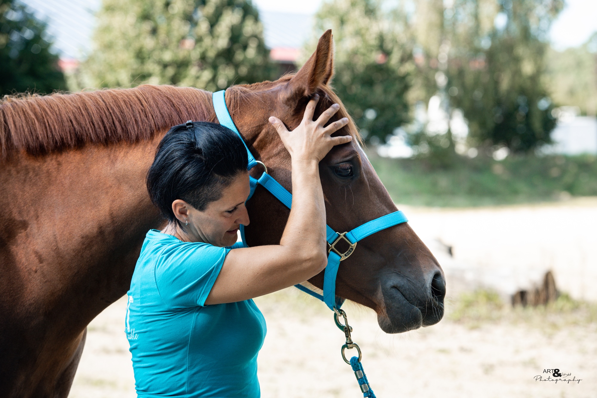 Pferd trainiert auf dem Sascotec ELITE HORSETRAINER – Bergauftraining
