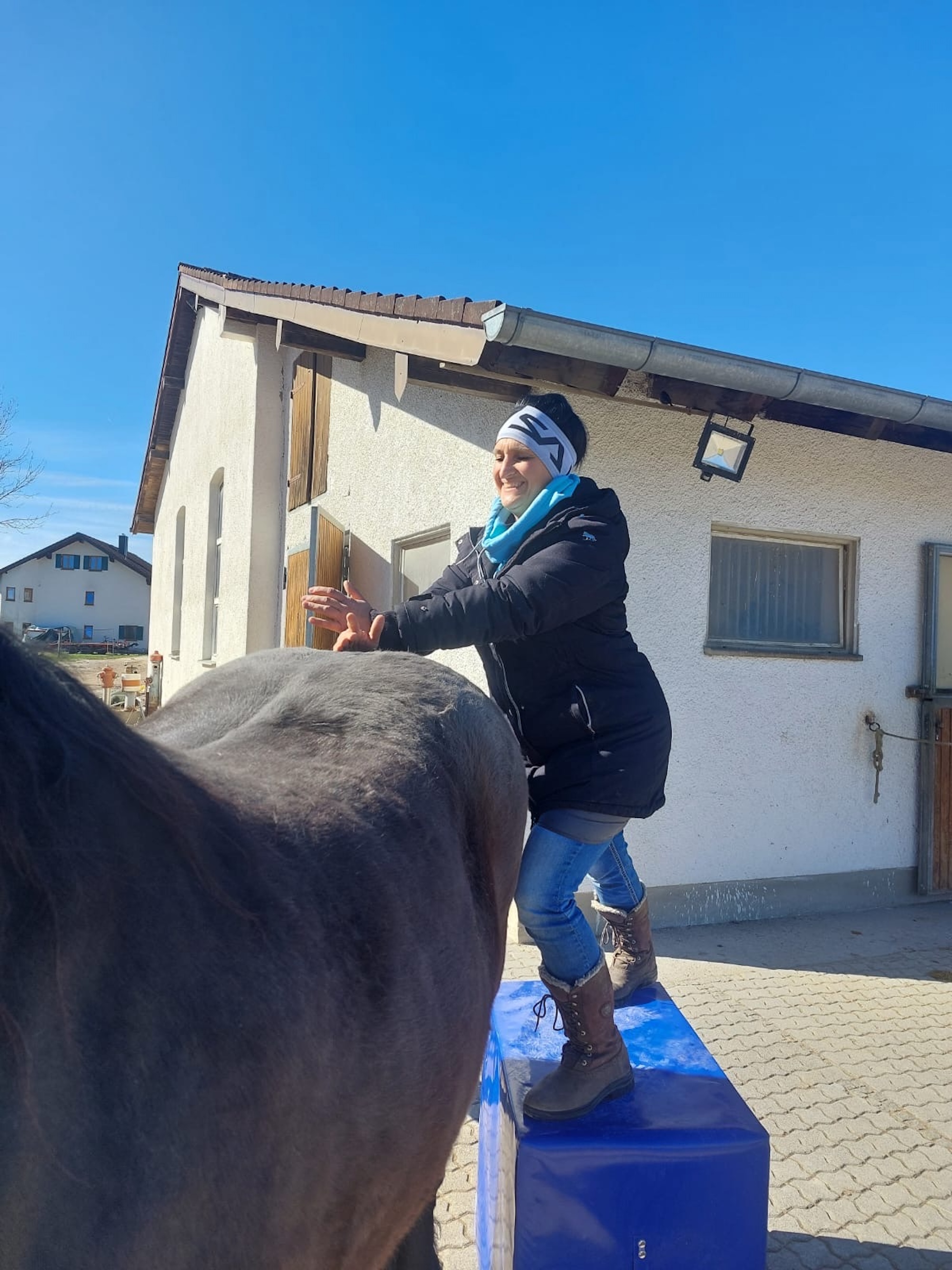 Therapeutin untersucht Pferd im Heimatstall – mobile Behandlung