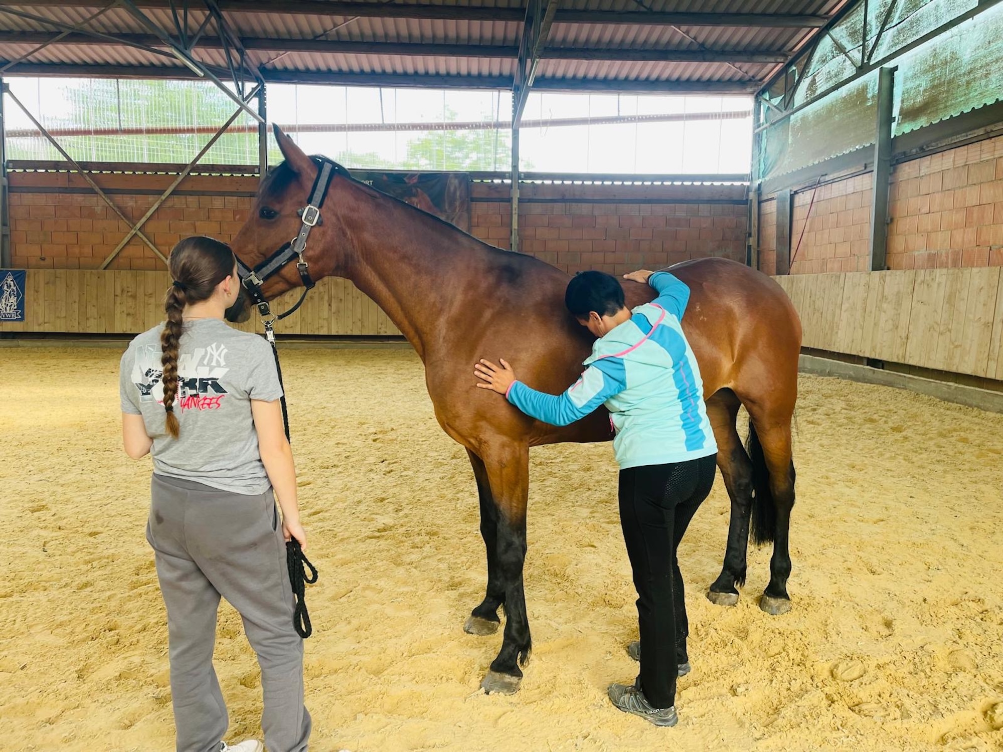 Blockadenlösung am Rücken eines Pferdes – Osteopathie in Pfeffenhausen