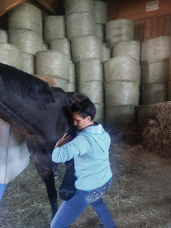 Pferd inhaliert Sole in keimfreier Ultraschall-Solekammer