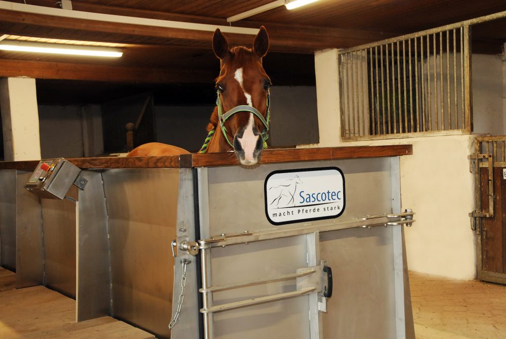 Aquatrainer von Sascotec – Wasserlaufband für Pferde