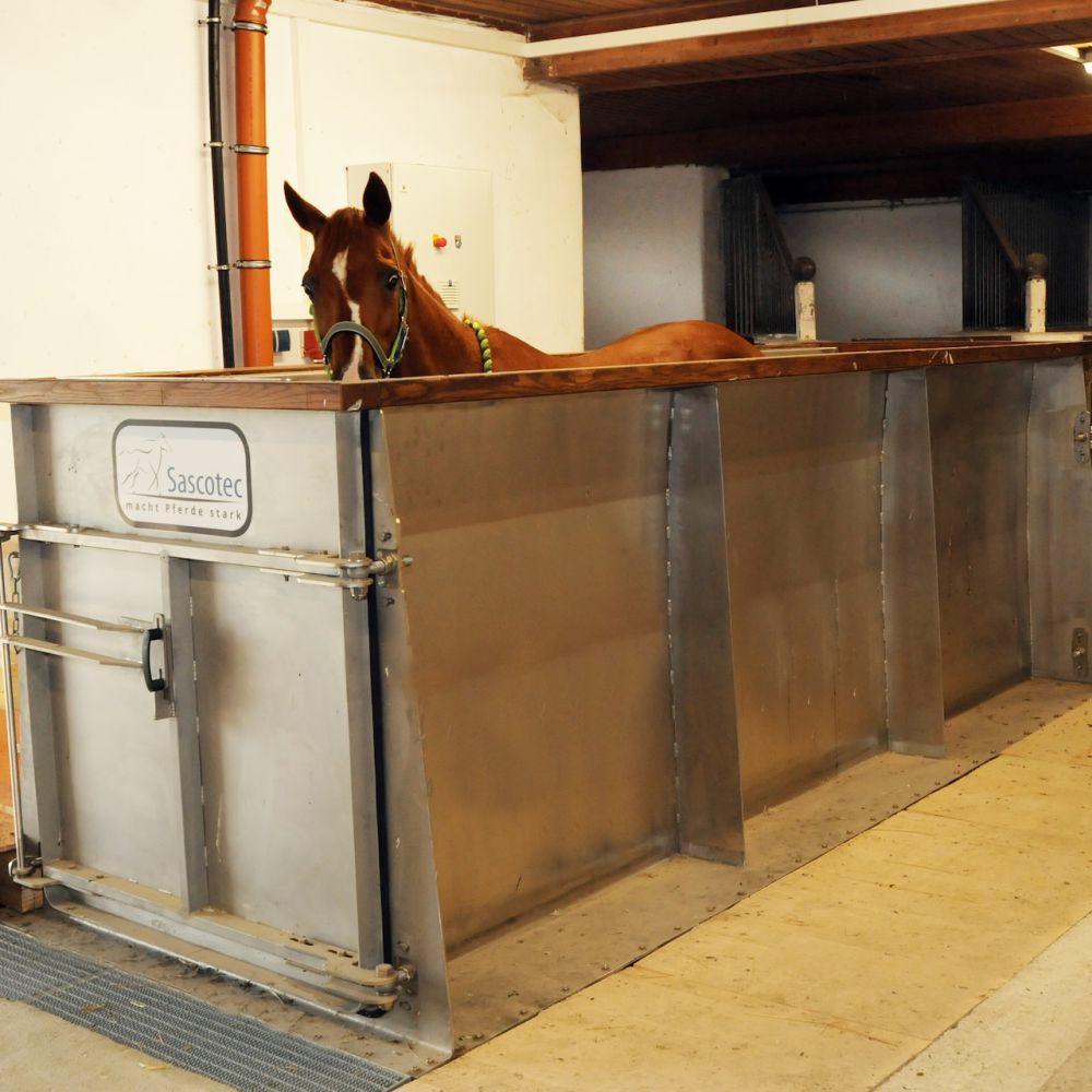 Aquatrainer von Sascotec – Wasserlaufband für Pferde