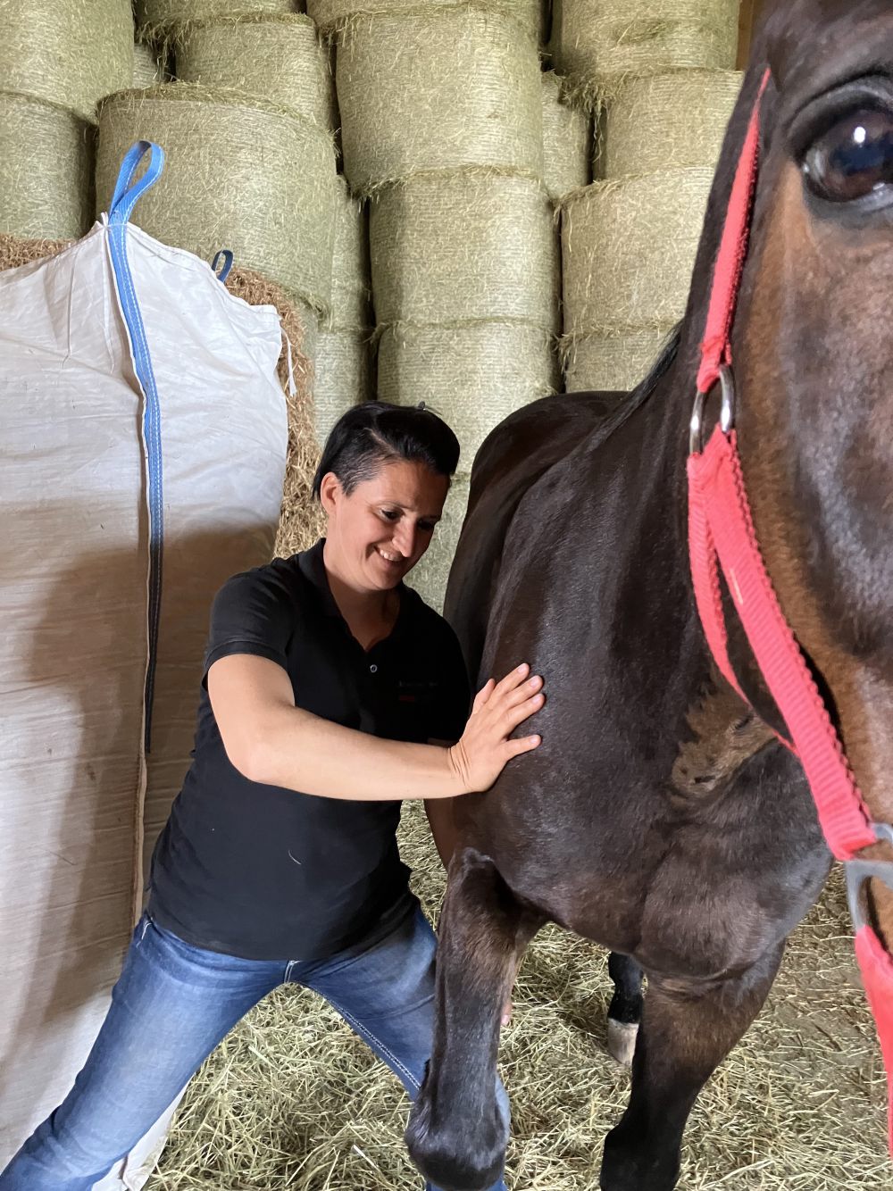 Pferdetherapie durch erfahrene Therapeutin