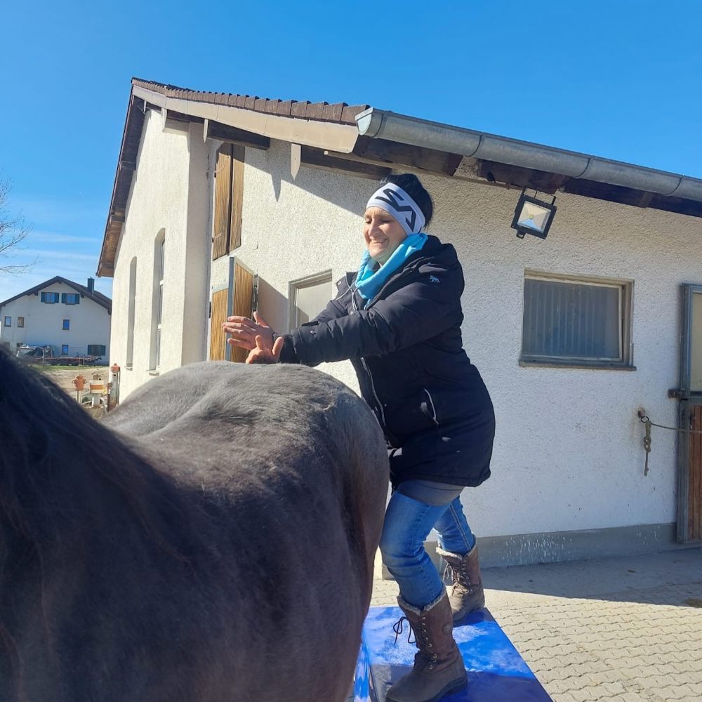 Mobile Pferdetherapie – Ich komme zu Euch in den Stall